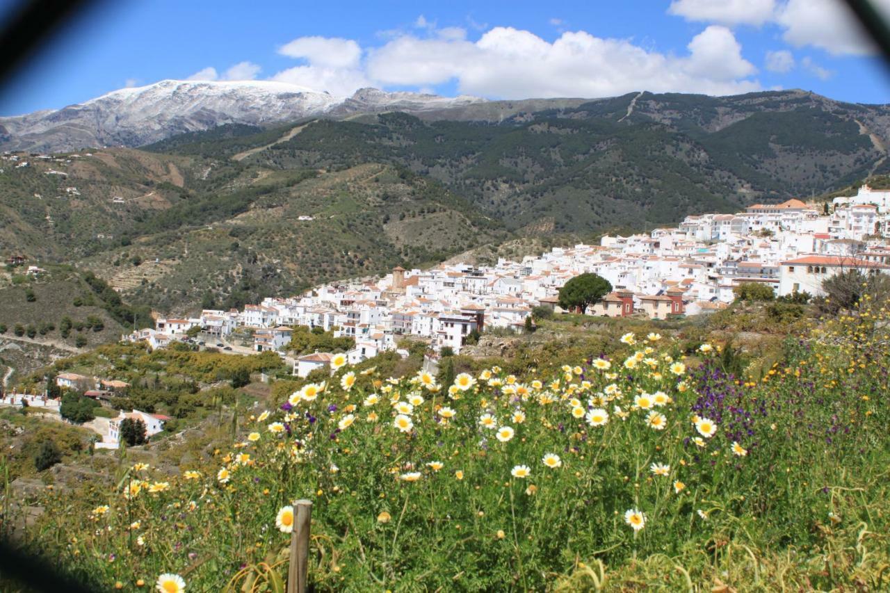 Casadubislav Apartment Canillas de Albaida Bagian luar foto